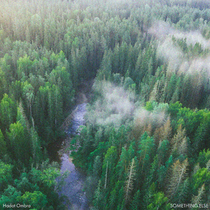 精东传媒在线播放网站
