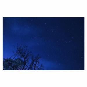 精东传媒在线播放网站
