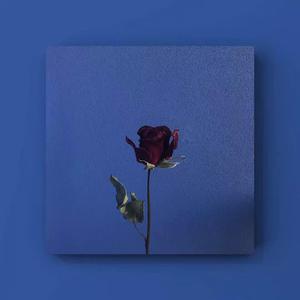 精东传媒在线播放网站
