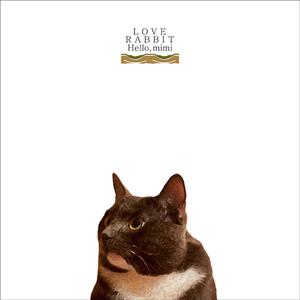 精东传媒在线播放网站
